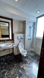The Hermitage (D10), Apartment #548086811